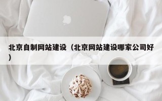 丰城北京自制网站建设（北京网站建设哪家公司好）
